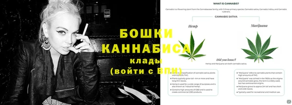 PSILOCYBIN Абинск