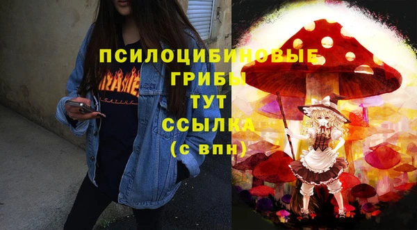 apvp Абдулино