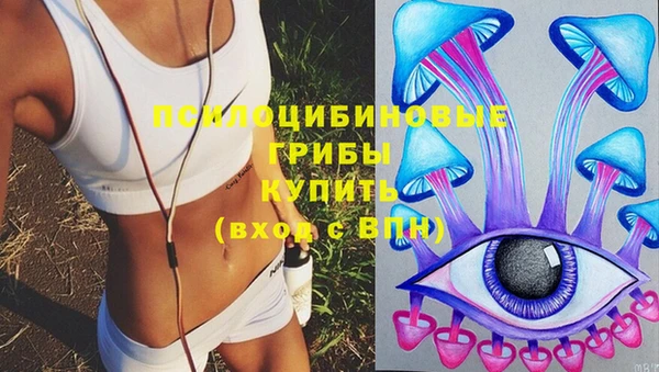 PSILOCYBIN Абинск