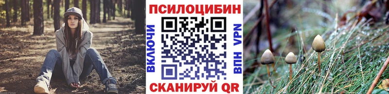 shop официальный сайт  MEGA tor  Алдан  Псилоцибиновые грибы ЛСД 